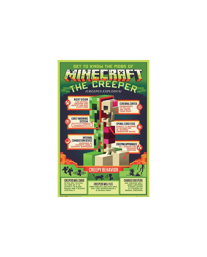 MINECRAFT - Creeper - Poster 61 x 91cm