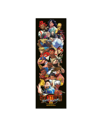 STREET FIGHTER - Door Poster 53x158 cm