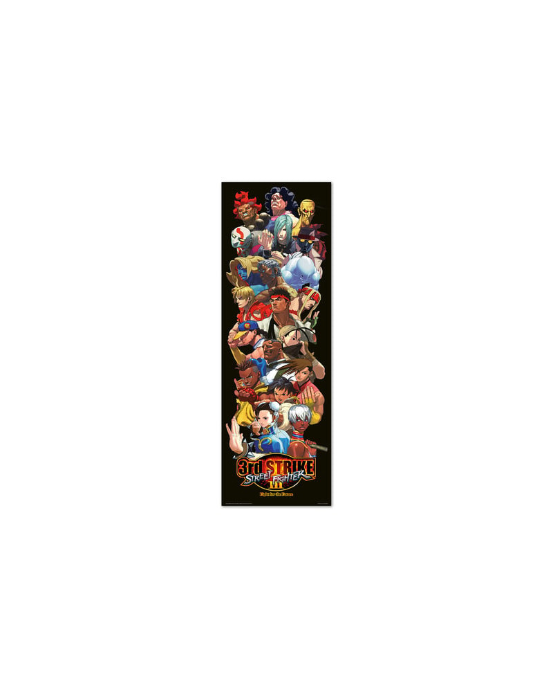 STREET FIGHTER - Door Poster 53x158 cm