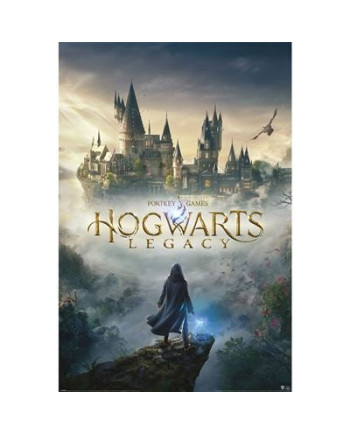 HOGWARTS LEGACY - Wizarding World Universe - Poster 61 x 91cm