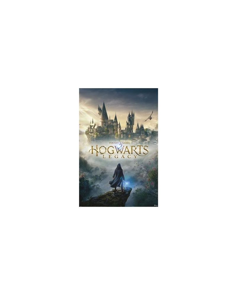 HOGWARTS LEGACY - Wizarding World Universe - Poster 61 x 91cm