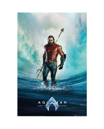 AQUAMAN AND THE LOST KINGDOM - Tempest - Poster 61 x 91cm