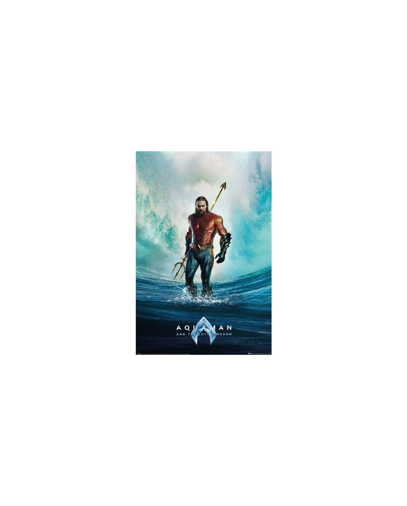 AQUAMAN AND THE LOST KINGDOM - Tempest - Poster 61 x 91cm