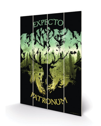 HARRY POTTER - Wood Print 20x29.5 - Expecto Patronum