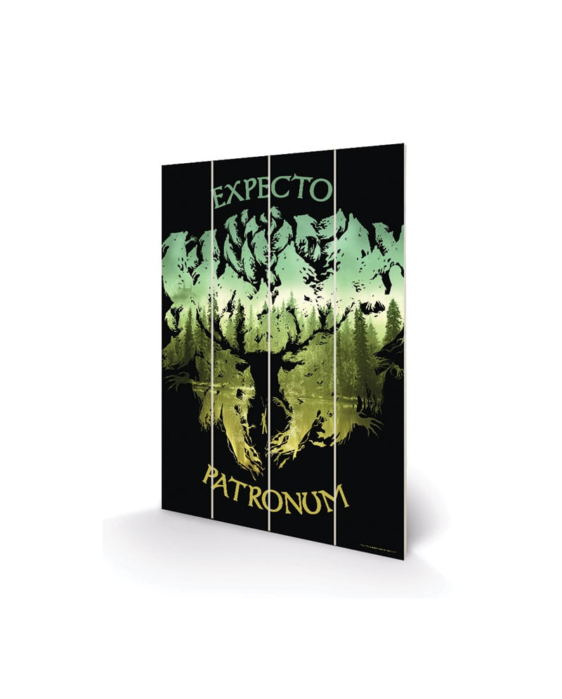 HARRY POTTER - Wood Print 20x29.5 - Expecto Patronum